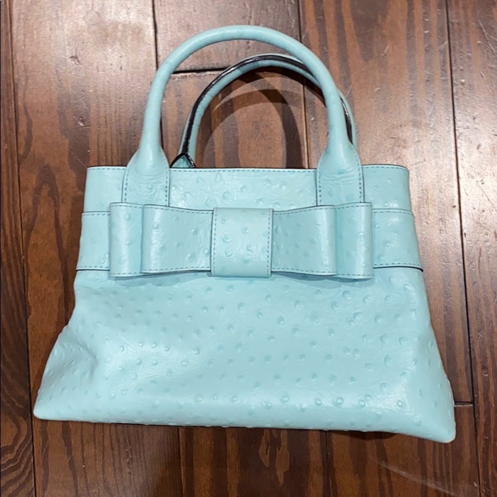 Kate Spade Robins Egg Purse Ostrich